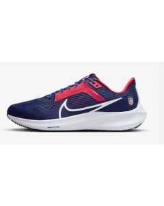 NIKE USA SHOES 350